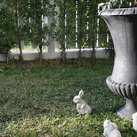 Отель Mona Chiangmai Boutique Чиангмай Экстерьер фото