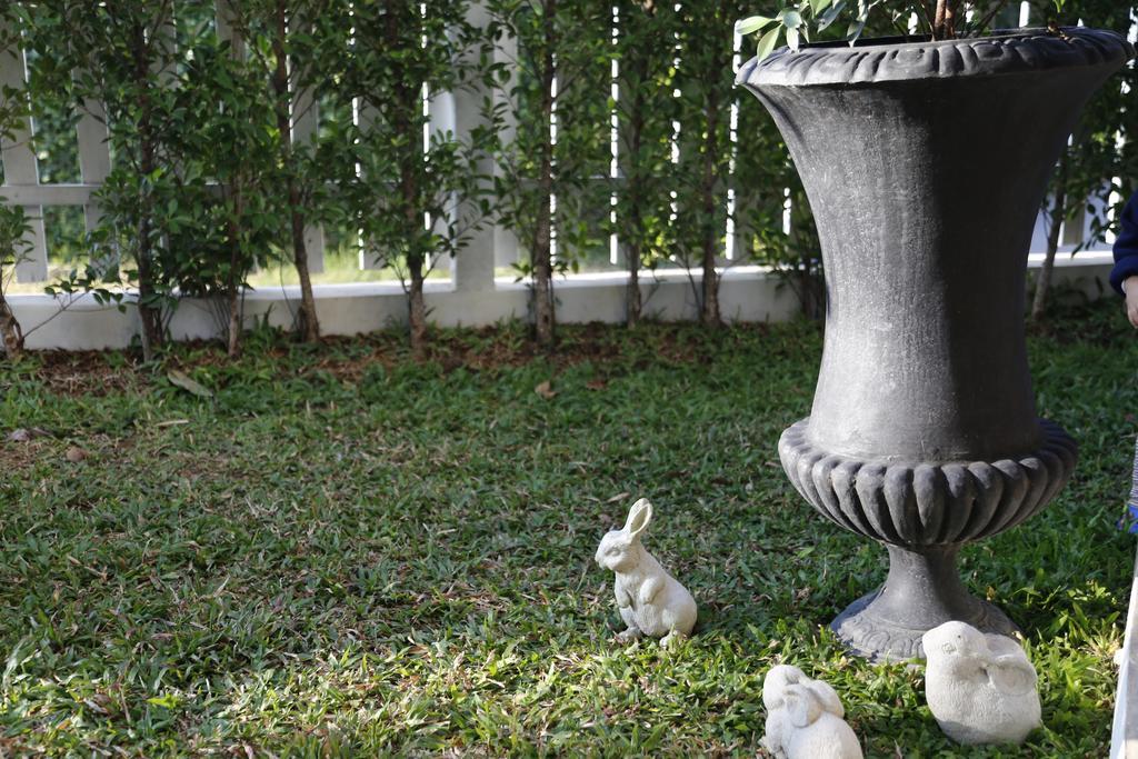 Отель Mona Chiangmai Boutique Чиангмай Экстерьер фото